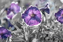 手机号测压网站